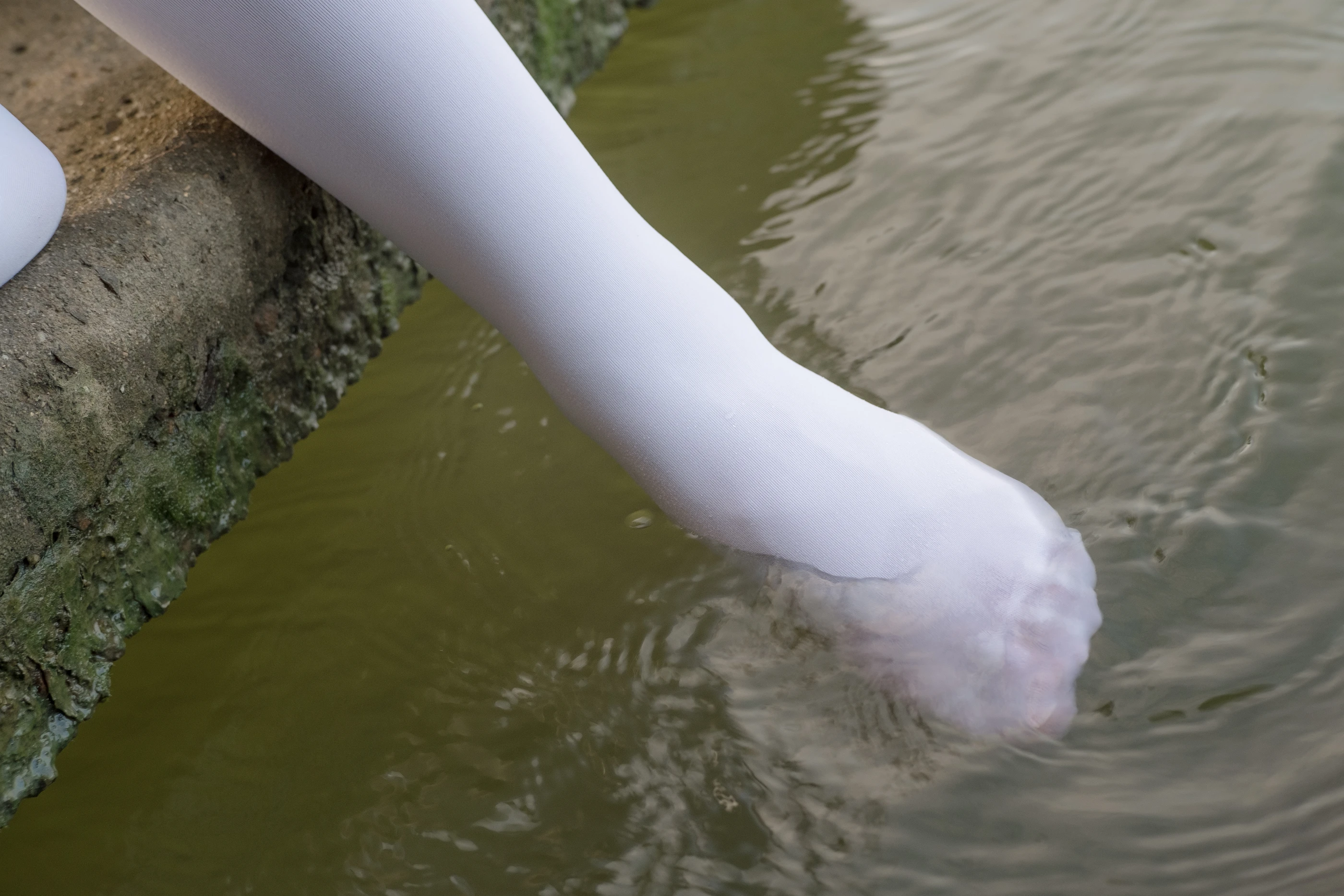 森萝财团 R15-032 [113P]插图2